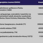 Fotka nr 2 z 3