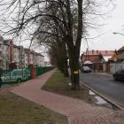 zdjęcie nr 16