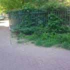 zdjęcie nr 7