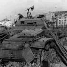 Fotka nr 3 z 13