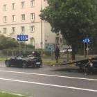 Fotka nr 1 z 9