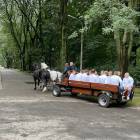 zdjęcie nr 8