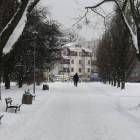 zdjęcie nr 72