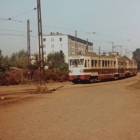 zdjęcie nr 71