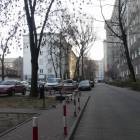 zdjęcie nr 7