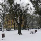 zdjęcie nr 13