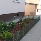 zdjęcie nr 11