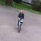 Fotka nr 2 z 3