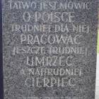 zdjęcie nr 125