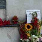 zdjęcie nr 21