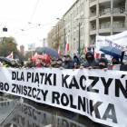 zdjęcie nr 32