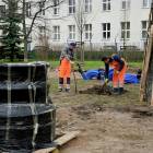 zdjęcie nr 49