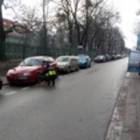 Fotka nr 4 z 5