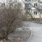 zdjęcie nr 28