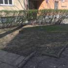 zdjęcie nr 10