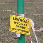 zdjęcie nr 18