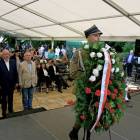 zdjęcie nr 249