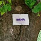 zdjęcie nr 130