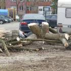 zdjęcie nr 21