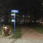 zdjęcie nr 8