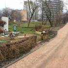 zdjęcie nr 7
