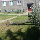 zdjęcie nr 38