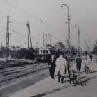 zdjęcie nr 73