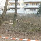 zdjęcie nr 11