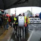 zdjęcie nr 15