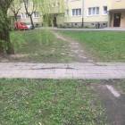 zdjęcie nr 25