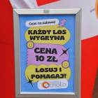 zdjęcie nr 19