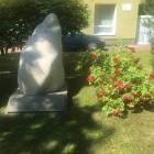zdjęcie nr 72
