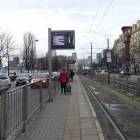 Fotka nr 4 z 27