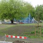 zdjęcie nr 12