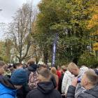 zdjęcie nr 42