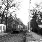 zdjęcie nr 83