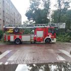 zdjęcie nr 32