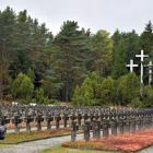 zdjęcie nr 127