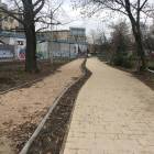 zdjęcie nr 8