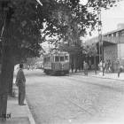 zdjęcie nr 80