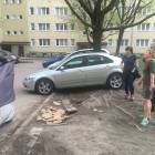 zdjęcie nr 16