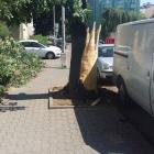 zdjęcie nr 42