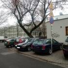 zdjęcie nr 8