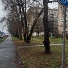 Fotka nr 1 z 9