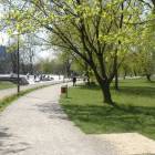 zdjęcie nr 38