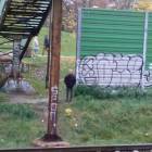 zdjęcie nr 9