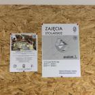zdjęcie nr 12