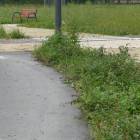 zdjęcie nr 10