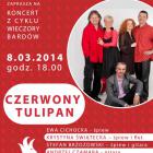 Czerwony Tulipan