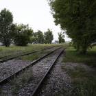 Fotka nr 5 z 6